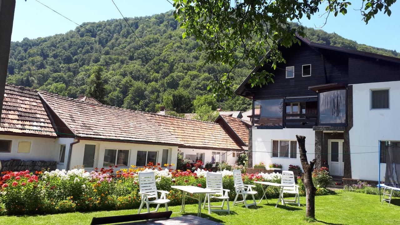 Pensiunea Mateo Bran  Exterior photo